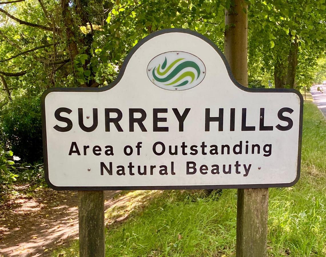 Ranmore Rise Retreat In The Surrey Hills Dorking Zewnętrze zdjęcie
